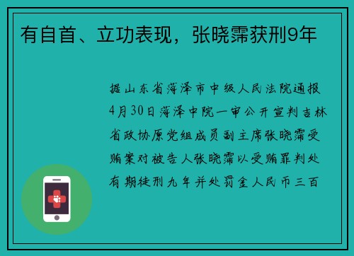 有自首、立功表现，张晓霈获刑9年