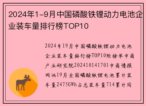 2024年1-9月中国磷酸铁锂动力电池企业装车量排行榜TOP10