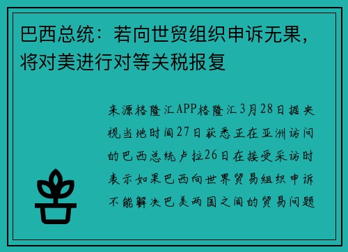 巴西总统：若向世贸组织申诉无果，将对美进行对等关税报复