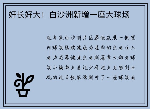 好长好大！白沙洲新增一座大球场